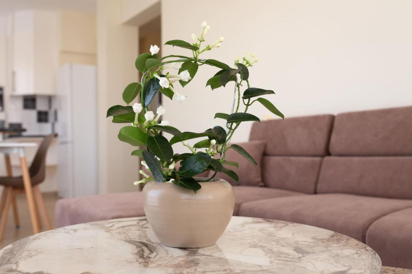 Apartment 2-bedroom Jasmine *